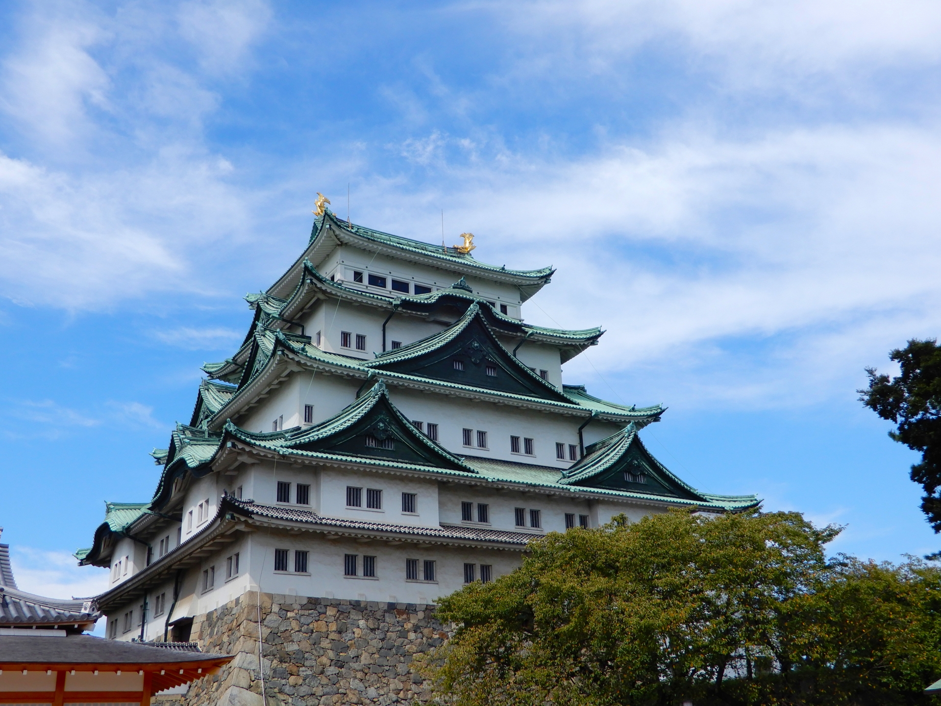 Tourist Package